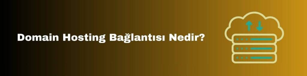 Domain Hosting Bağlantısı Nedir